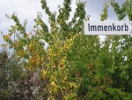 Straßenschild Immenkorb