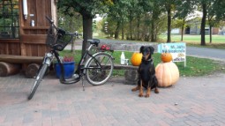 Frühling 2021 - Milchtankstelle Tosca