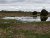 Frühling 2021 - Radewiesen