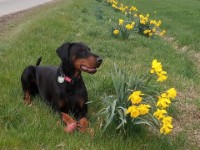 Frühling 2021 - Weg zum Steinbruch Tosca